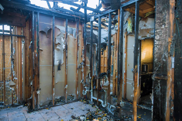 Professional Odor Removal technician working in Towson, MD