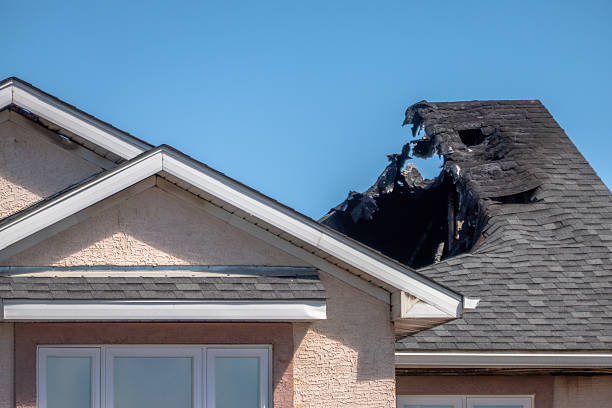 Top rated local Odor Removal specialists in Towson, MD
